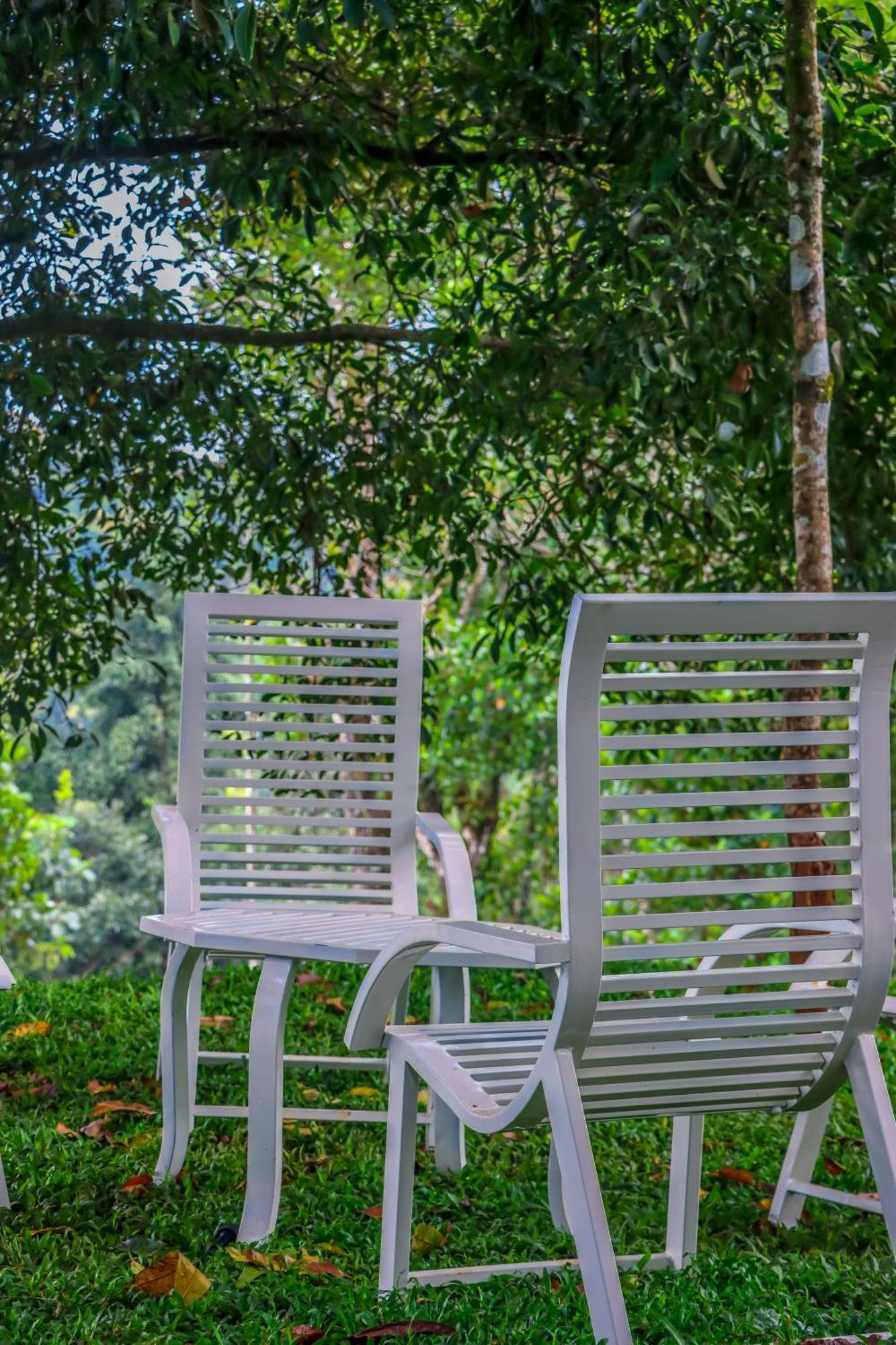 Winter Note Resorts Munnar Zewnętrze zdjęcie